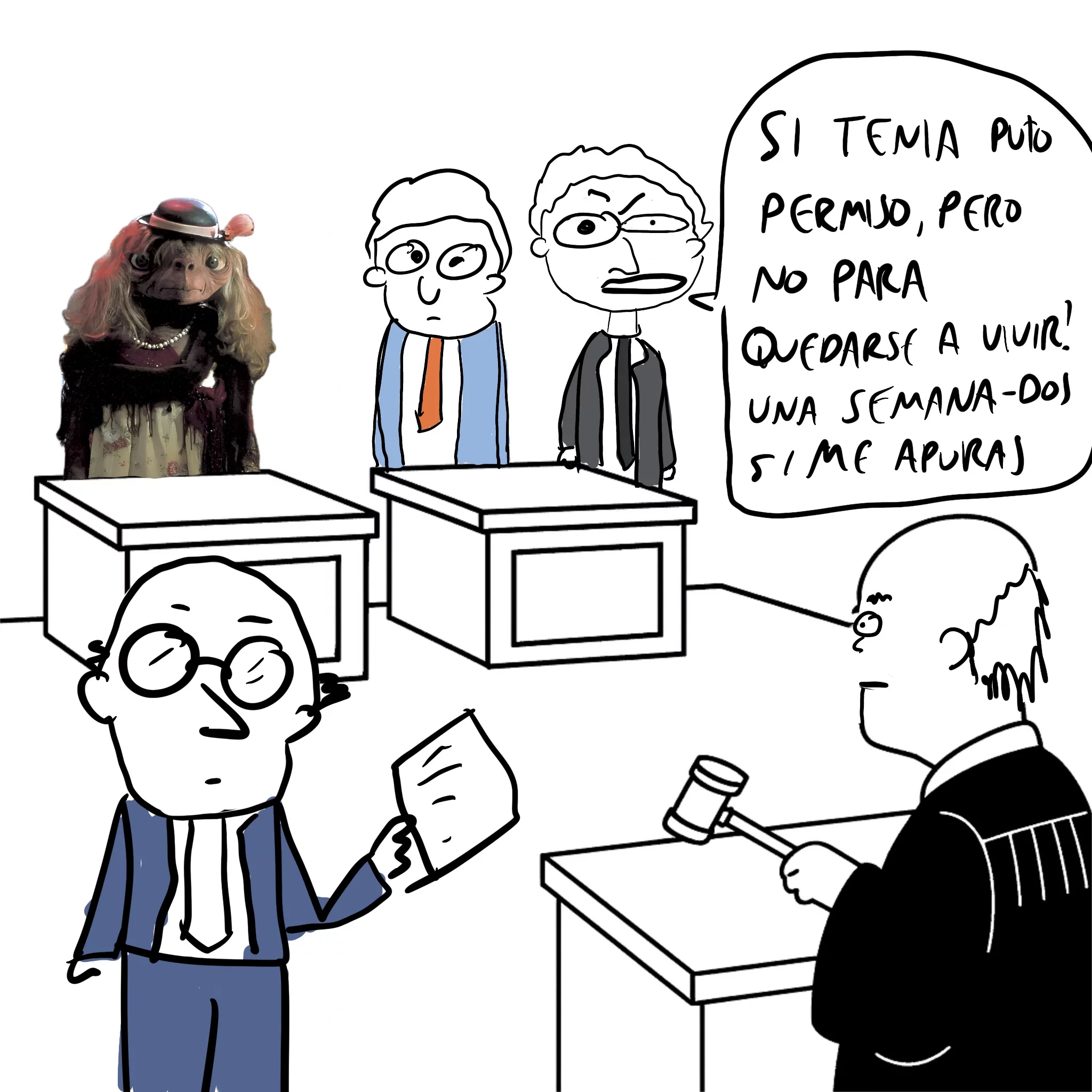 mi casa